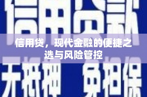 团风信用贷，现代金融的便捷之选与风险管控