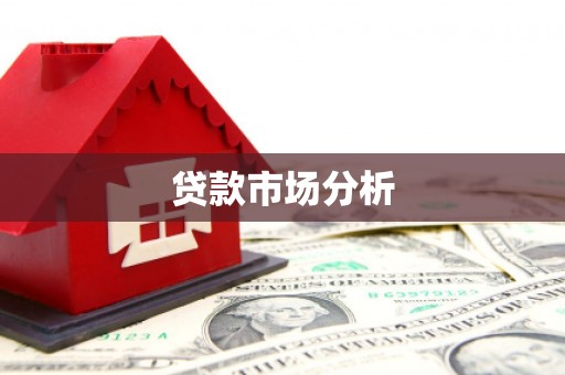 团风贷款市场分析