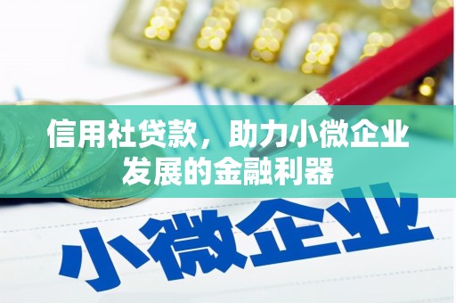 团风信用社贷款，助力小微企业发展的金融利器