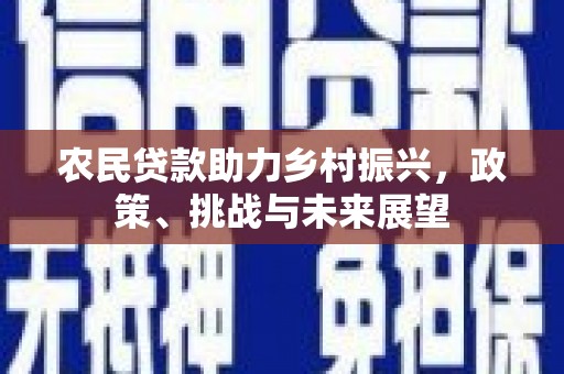 团风农民贷款助力乡村振兴，政策、挑战与未来展望