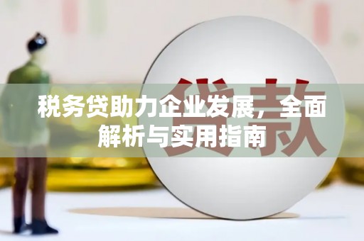 团风税务贷助力企业发展，全面解析与实用指南