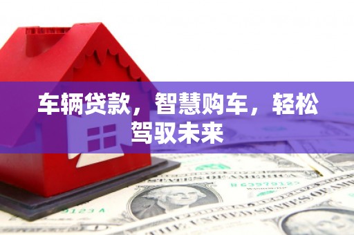 团风车辆贷款，智慧购车，轻松驾驭未来
