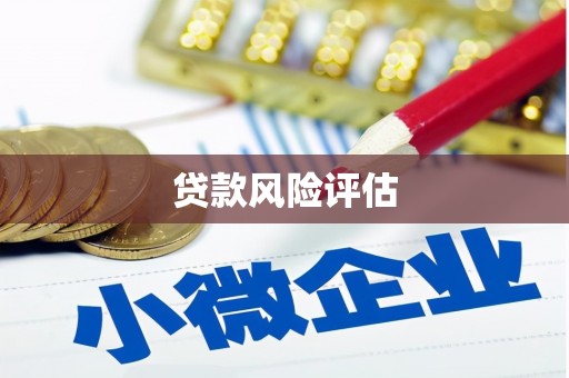 团风贷款风险评估