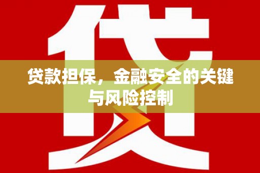 团风贷款担保，金融安全的关键与风险控制