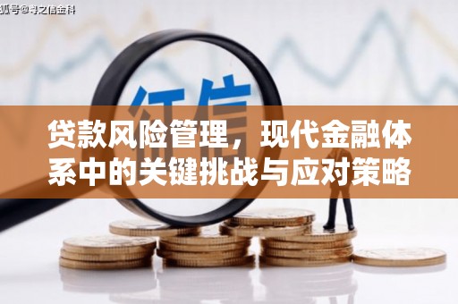 团风贷款风险管理，现代金融体系中的关键挑战与应对策略