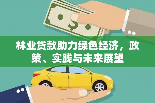 团风林业贷款助力绿色经济，政策、实践与未来展望