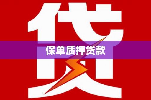 团风保单质押贷款