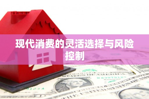 团风现代消费的灵活选择与风险控制