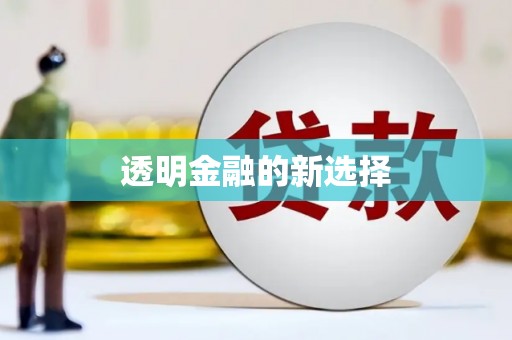 团风透明金融的新选择