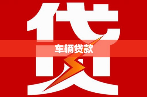 团风车辆贷款